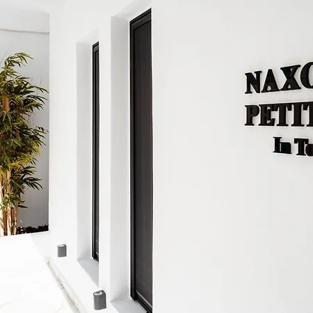 Apartment Naxos Petite In Town Naxos City